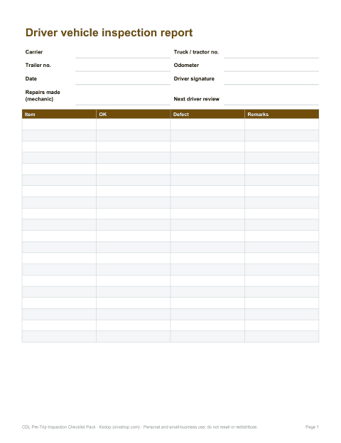 Preview of the first page of DVIR (XLSX, PDF)
